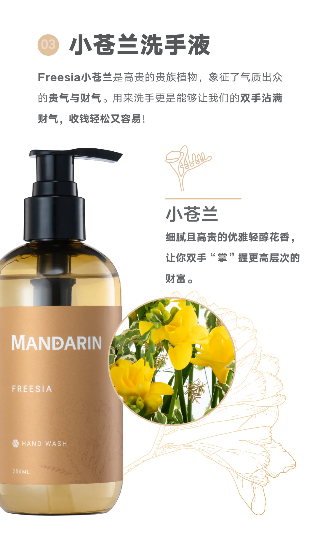 Freesia Hand Wash