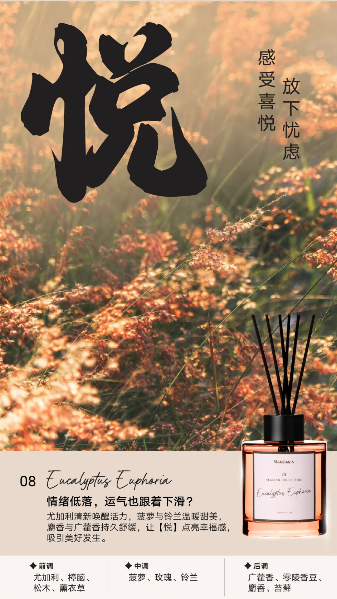 Healing Collection  - Eucalyptus Euphoria