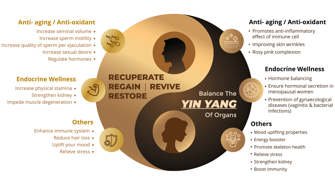 Oricell Ginseng RDX Plus 60s