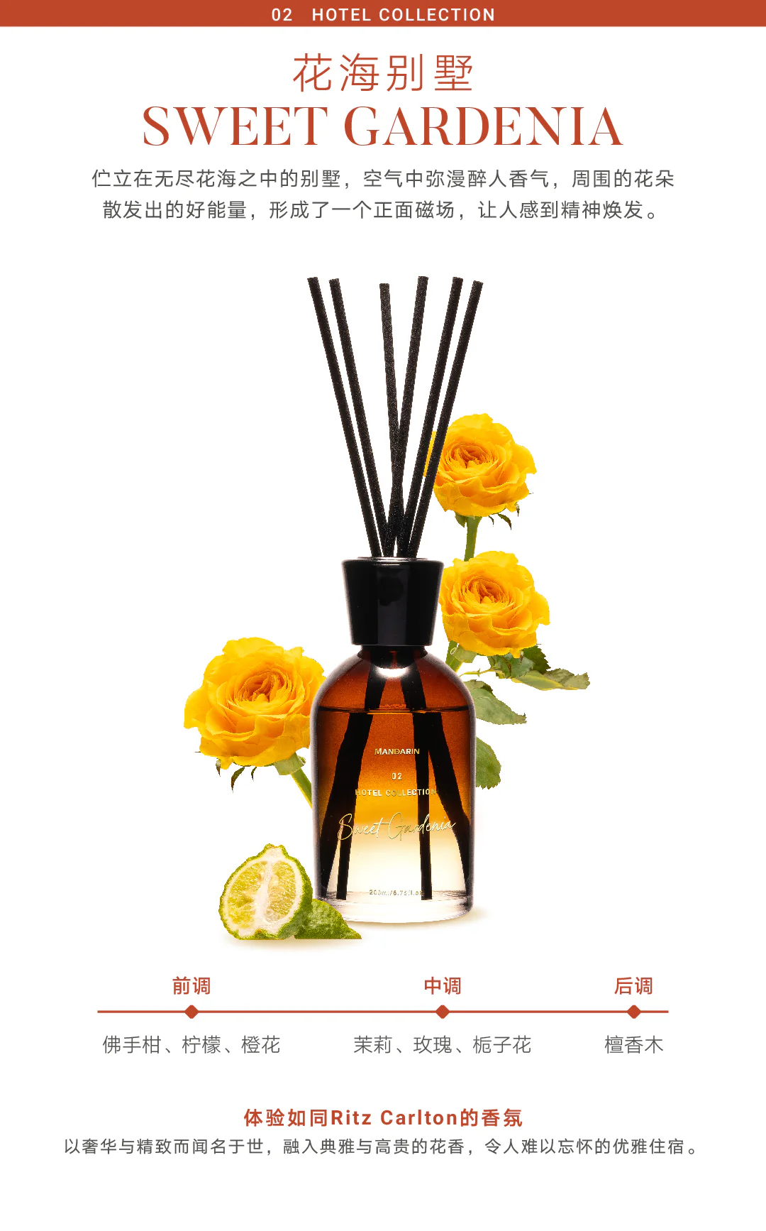 Hotel Collection Set(Buy 4 Free 1)